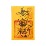 Career Success Paper Talisman