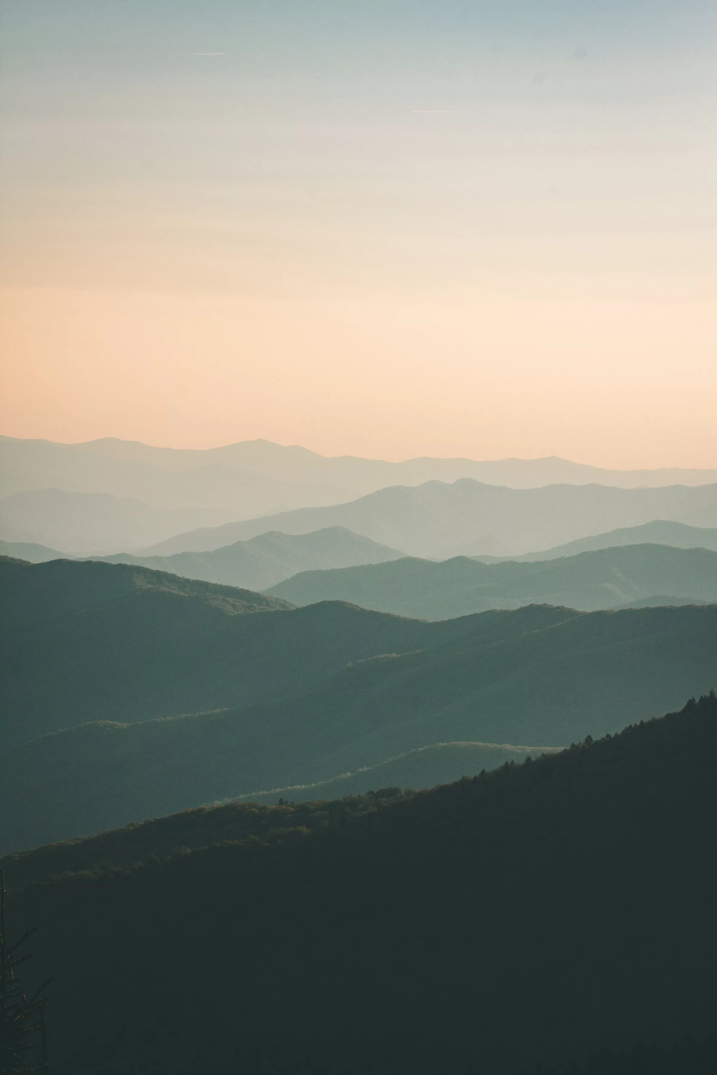 qimatrix-parallax-nature.webp Full Digital BaZi / Four Pillars Report - Image 1
